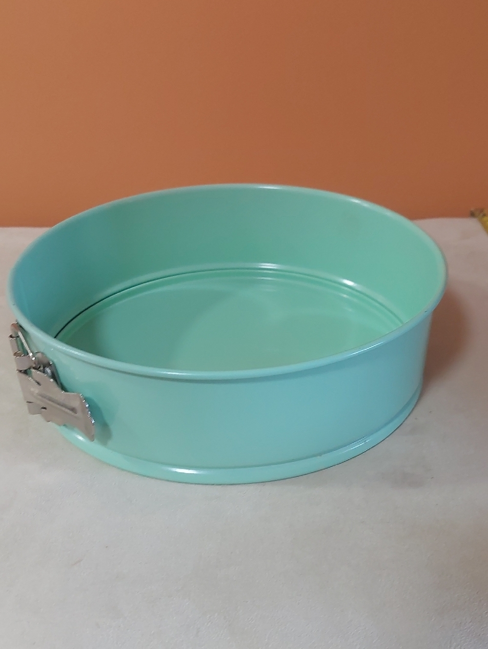 Mint Green Springform Cake Pan - Non-Branded